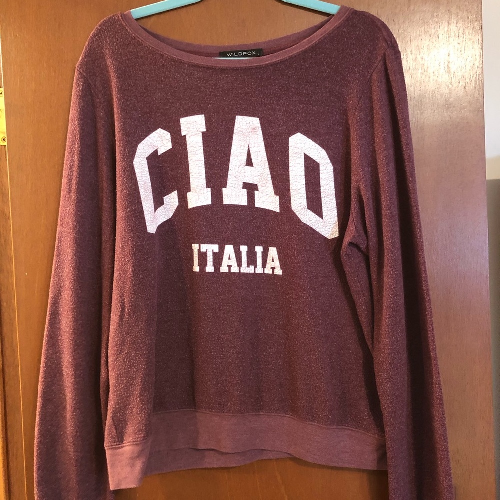 Wildfox sweatshirt